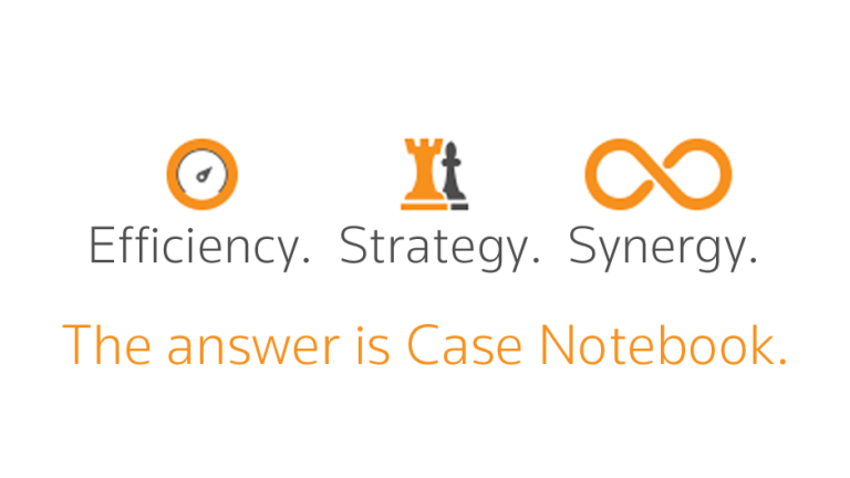Case Notebook - Efficiency, Strategy, Synergy: The answer is Case Notebook